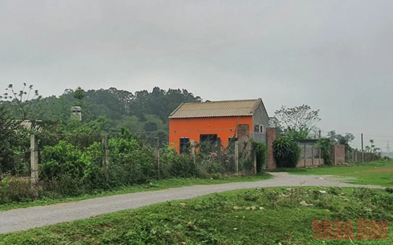 Ngôi nhà cấp 4 xây dựng trái phép trên đất nông nghiệp của ông Nguyễn Văn Bắc.