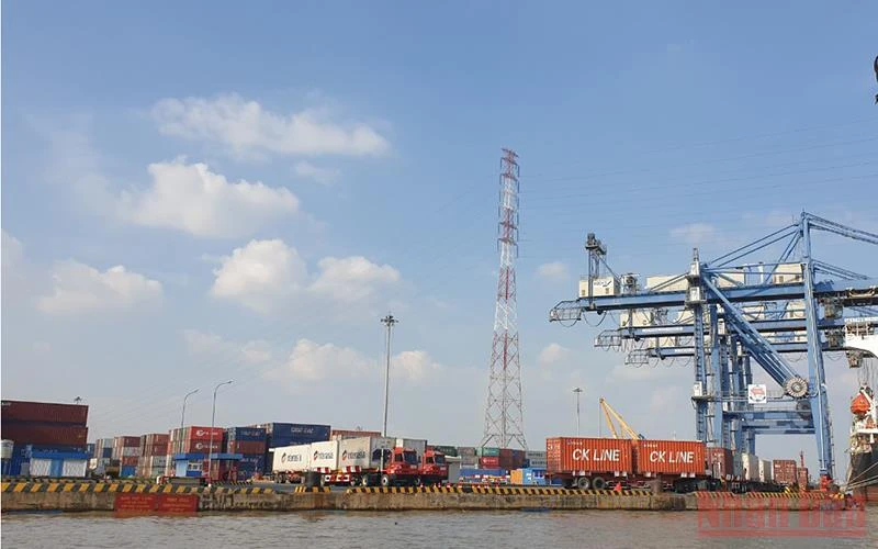 Hoạt động vận chuyển hàng hóa tại các cảng trên địa bàn Thành phố Hồ Chí Minh.
