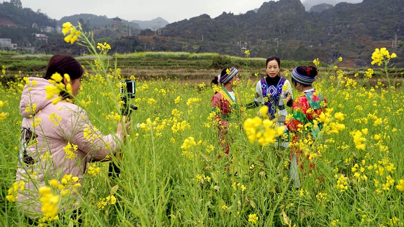 Cán bộ Trung tâm Thông tin xúc tiến Du lịch Hà Giang thực hiện tour du lịch online mùa hoa trên Cao nguyên đá.