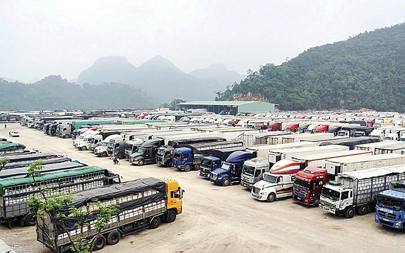 Hàng nghìn công-ten-nơ hàng nông sản ùn ứ ở cửa khẩu Tân Thanh, Lạng Sơn. Ảnh | CTV