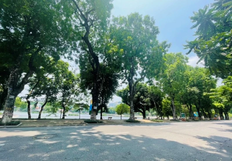 Không gian xanh mát của hồ Thiền Quang sẽ được khai thác làm phố đi bộ.