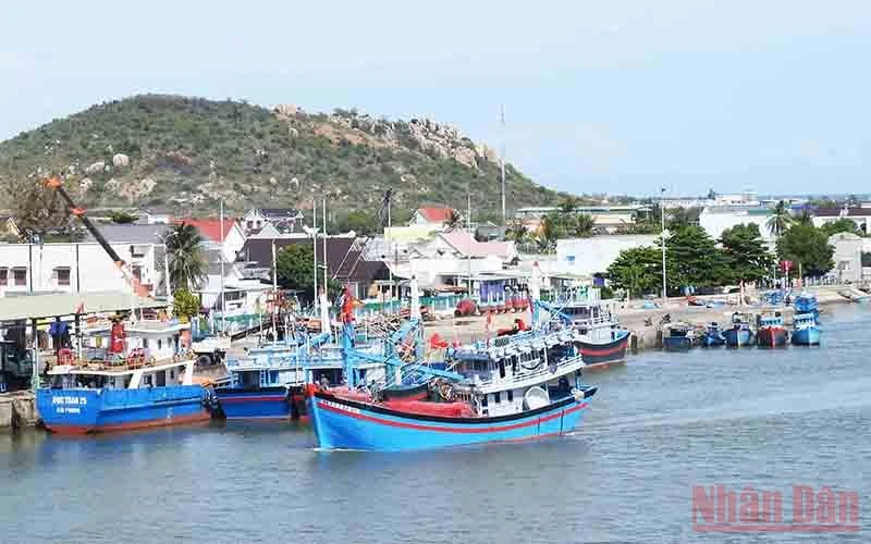 Các cảng cá ở Ninh Thuận đều vươn khơi khai thác hải sản.