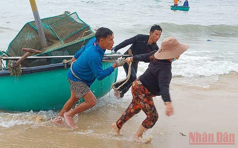 Người dân xã An Hòa Hải huyện Tuy An, Phú Yên đang nỗ lực cứu vớt tài sản còn sót lại sau cơn lốc xoáy bất thường. 