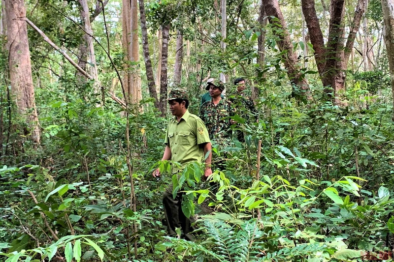 Lực lượng Kiểm lâm Khu Bảo tồn thiên nhiên Ea Sô, huyện Ea Kar, tỉnh Đắk Lắk tuần tra bảo vể rừng và phòng cháy, chữa cháy rừng trong những tháng mùa khô hiện nay. (Ảnh: Công Lý)