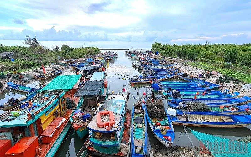 Sau chuyến khai thác, các tàu công suất nhỏ ở Cà Mau thường về neo đậu tại khu vực an toàn.