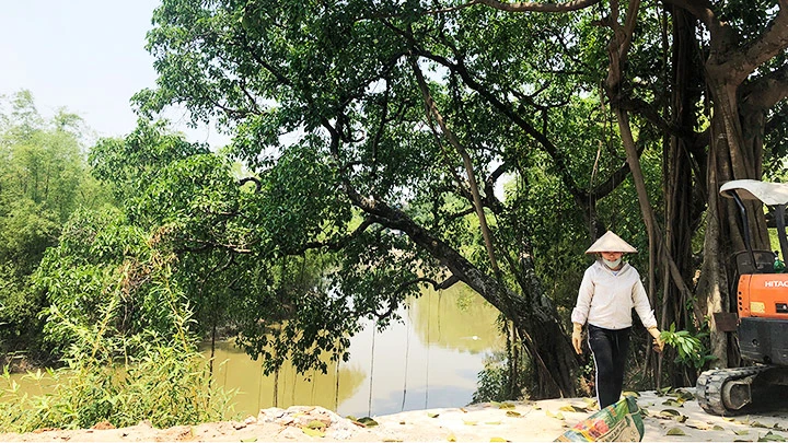 Bến nước bên cây đa xóm Chiền.