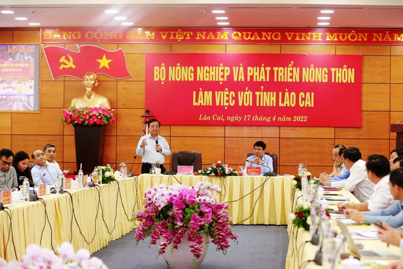Bộ trưởng Nông nghiệp và Phát triển nông thôn Lê Minh Hoan làm việc với lãnh đạo tỉnh Lào Cai. (Ảnh: MẠNH DŨNG)