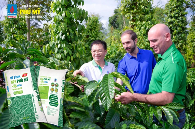 Vườn khảo nghiệm NPK Phú Mỹ - vi sinh trên cây cà-phê tại Đắk Lắk.