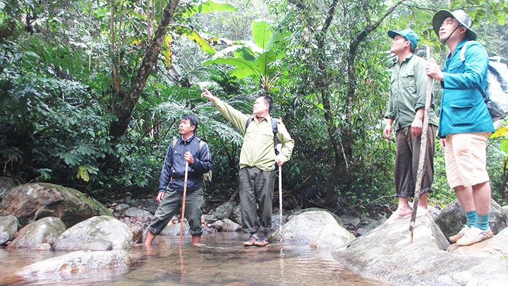 Kiểm tra rừng tại khu vực bản Làng Sáng, xã Háng Đồng.