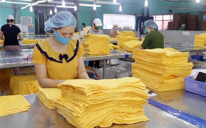 Sản xuất hàng xuất khẩu tại Công ty cổ phần dệt may Sơn Nam, Nam Định. (Ảnh: TTXVN)