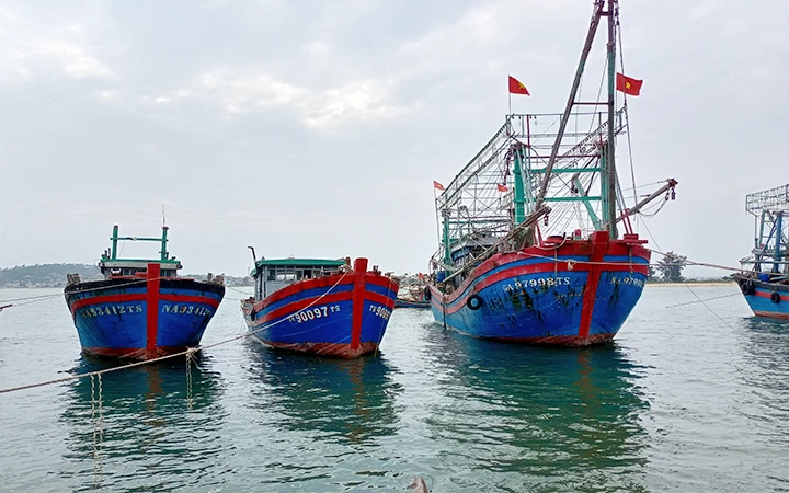 Tàu cá của ngư dân các xã: Sơn Hải, Quỳnh Lập huyện Quỳnh Lưu (Nghệ An) nằm bờ thời gian dài do đi biển thua lỗ.