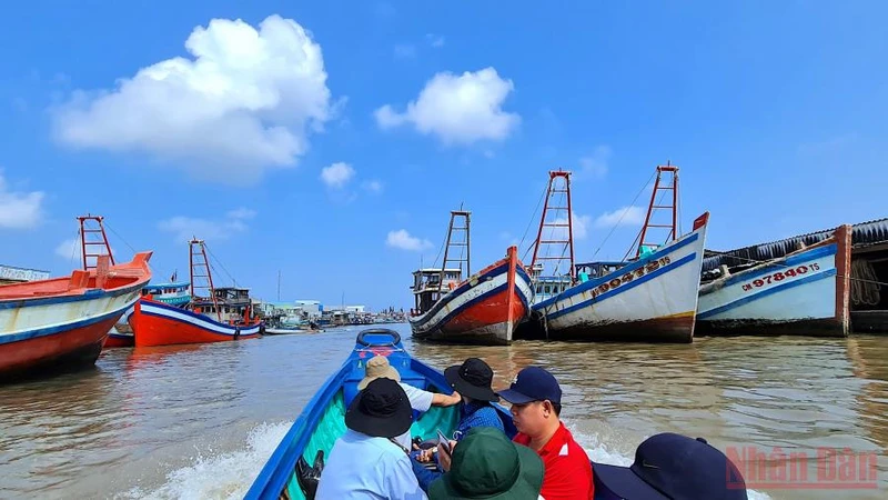 Dù đã hoàn thành lắp đặt thiết bị giám sát hành trình cho toàn bộ tàu cá nhưng có hàng nghìn tàu ở Cà Mau mất kết nối với hệ thống giám sát.  