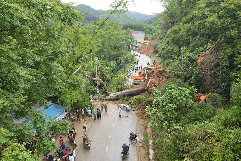 Một gốc cây bị bật gốc, đổ chắn ngang gây tắc đường 258 từ huyện Bạch Thông đi huyện Ba Bể.