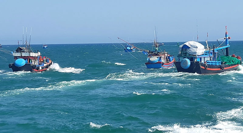 Sau ngày 30/7, Quảng Ngãi sẽ xử lý nghiêm tàu cá chưa lắp thiết bị VMS nhưng vẫn hoạt động. 