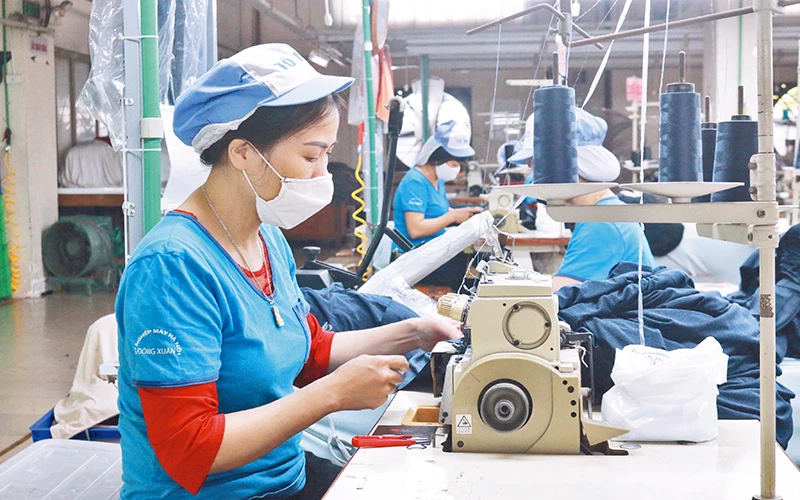 Sản xuất hàng xuất khẩu tại Công ty trách nhiệm hữu hạn Dệt kim Đông Xuân.