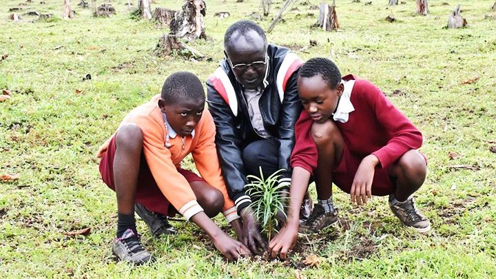 Người dân Kenya chung tay hồi sinh rừng Kipsigis. Ảnh: AP