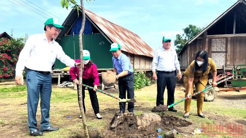 Các đại biểu tham gia trồng cây xanh tại tuyến đường Y Jút, thị trấn Liên Sơn, huyện Lắk.