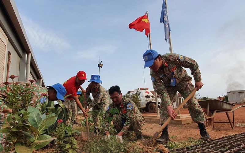 Cán bộ, y, bác sĩ, nhân viên Bệnh viện dã chiến cấp 2 số 3 và số 4 của Việt Nam tích cực tham gia trồng cây xanh tại căn cứ Bentiu, Nam Sudan. (Ảnh: Nguyễn Đảm)