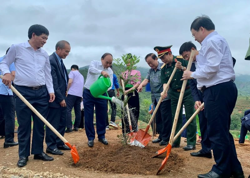 Chủ tịch nước Nguyễn Xuân Phúc tham gia trồng vườn cây mắc-ca tại xã Nà Nhạn (TP Điện Biên Phủ, tỉnh Điện Biên).