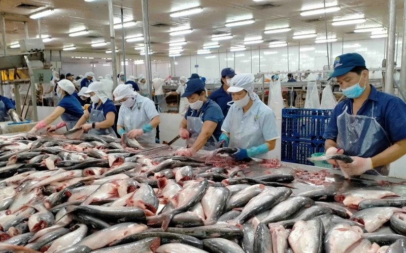 EU luôn được biết đến là một trong những thị trường xuất khẩu thủy sản hàng đầu của Việt Nam.
