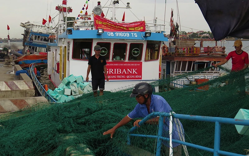 Nhiều "tàu cá 67" tại Quảng Bình đánh bắt không hiệu quả do cơ cấu nghề chưa hợp lý.