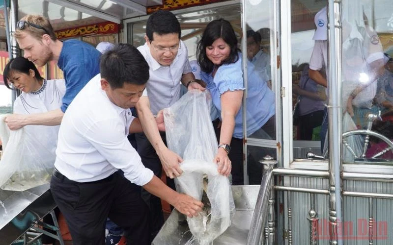 Lãnh đạo UBND tỉnh Thừa Thiên Huế cùng đại diện WWF Na Uy và WWF tại Việt Nam tiến hành thả cá để tái tạo nguồn lợi thủy sản. (Ảnh: CTV)