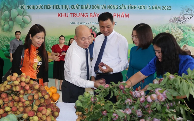 Các đại biểu tham quan gian trưng bày sản phẩm nông sản tỉnh Sơn La.