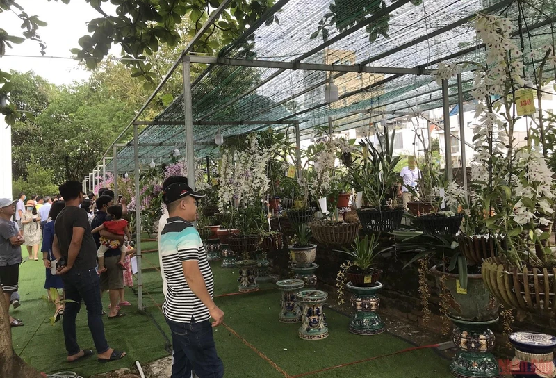 Lễ hội hoa lan Đà Nẵng thu hút đông đảo người dân Đà Nẵng tham quan.