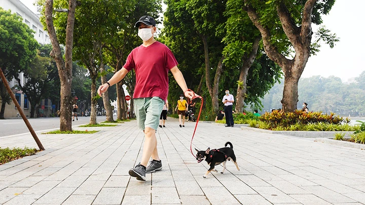 Hành vi mang vật nuôi vào không gian phố đi bộ sẽ bị cảnh cáo hoặc phạt tiền.