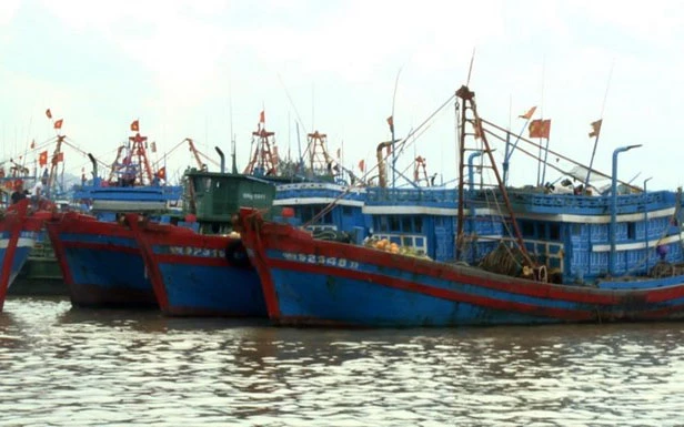 Tàu cá neo đậu tại cảng Tịnh Kỳ, thành phố Quảng Ngãi. (Ảnh: TTXVN)