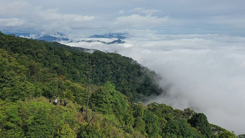 Biển mây trên đỉnh Cỏ Cháy. Ảnh: Sách Nguyễn
