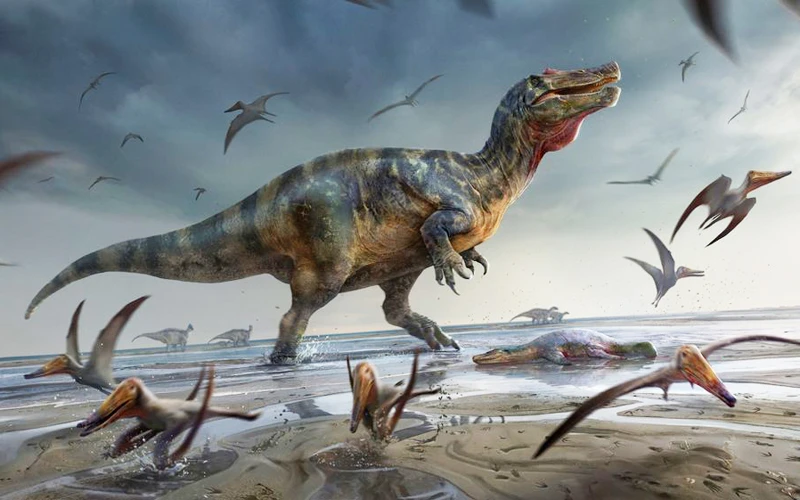 Bức tranh mô phỏng dựa trên những mẫu hóa thạch vừa được phát hiện cho thấy một con khủng long ăn thịt lớn được mệnh danh là "White Rock spinosaurid" đứng trên một bãi biển, xung quanh có các con thuộc loài bò sát bay được gọi là pterosaurs. (Ảnh: REUTERS).