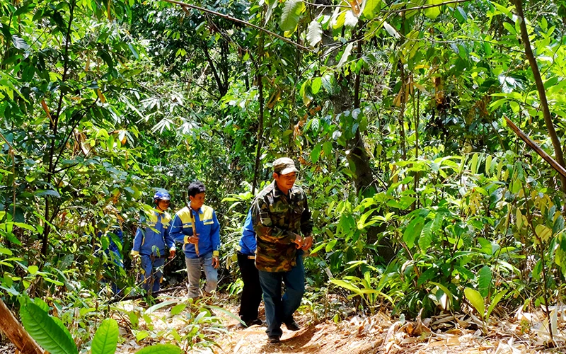 Tổ cộng đồng nhận khoán bảo vệ rừng thôn 5, xã Ðồng Nai, huyện Bù Ðăng tuần tra bảo vệ rừng.