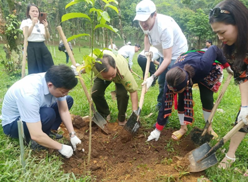 Trồng cây hưởng ứng Ngày quốc tế chống sa mạc hóa.