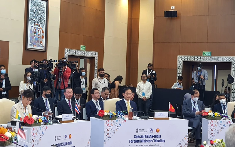 Đoàn Việt Nam dự Hội nghị đặc biệt Bộ trưởng Ngoại giao ASEAN-Ấn Độ.