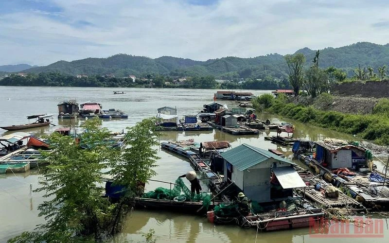 Lồng cá nuôi tự phát của các hộ dân tại phường Thịnh Lang đã được đưa vào nơi trú ẩn an toàn trước khi Nhà máy thủy điện Hòa Bình xả lũ.