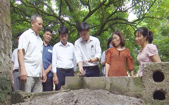 Mô hình sản xuất nông nghiệp tuần hoàn của gia đình ông Phạm Văn Loan, xã Chính Lý, huyện Lý Nhân, Hà Nam.