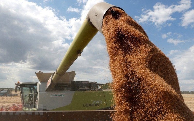 Thu hoạch ngũ cốc tại Ukraine. (Ảnh: Reuters/TTXVN)