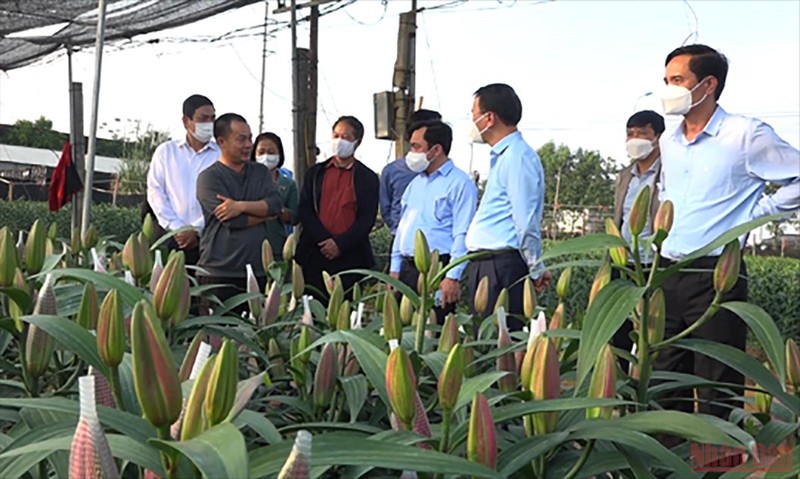 Xây dựng thương hiệu du lịch nông nghiệp để phát triển kinh tế xã hội  Đài  PTTH Tuyên Quang