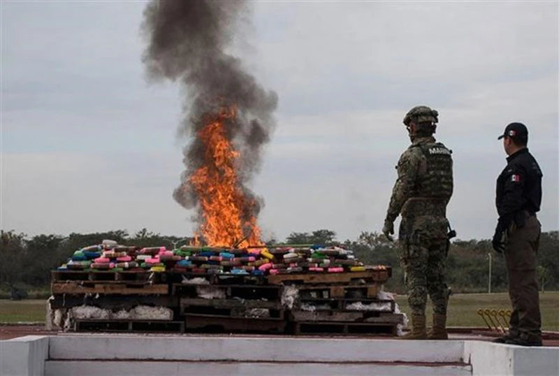 Binh sĩ Mexico thiêu hủy số ma túy thu giữ tại Veracruz (Mexico), ngày 16/1/2018. (Ảnh: AFP/TTXVN)