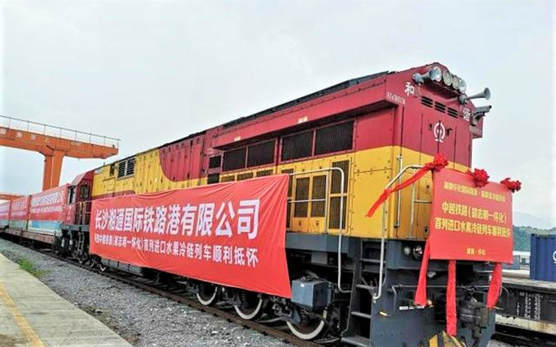 Chuyến tàu liên vận chở 230 tấn thanh long Việt Nam đến Khu Logistics tây Hoài Hóa, Hồ Nam. (Ảnh: Chinanews.com)