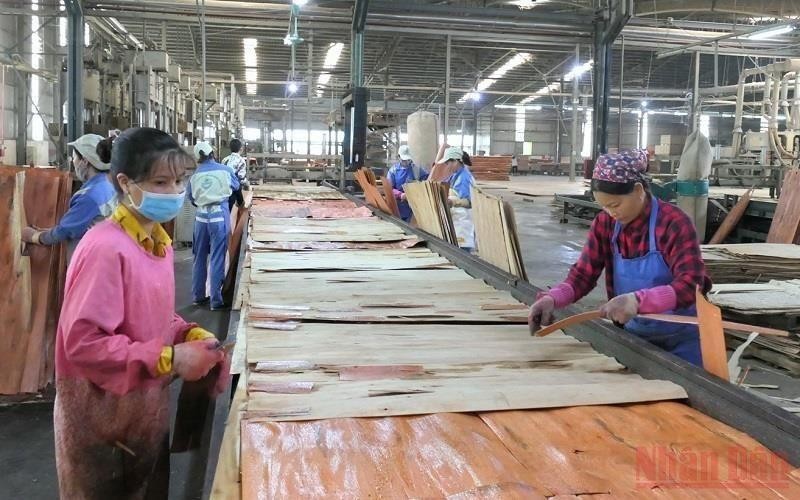 Nhà máy lâm nghiệp xuất nhập khẩu công nghiệp Hà Giang đẩy mạnh sản xuất sau đại dịch Covid-19.