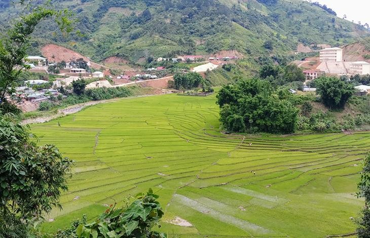Cánh đồng lúa nước của đồng bào Cơ Tu ở xã A Xan, huyện Tây Giang