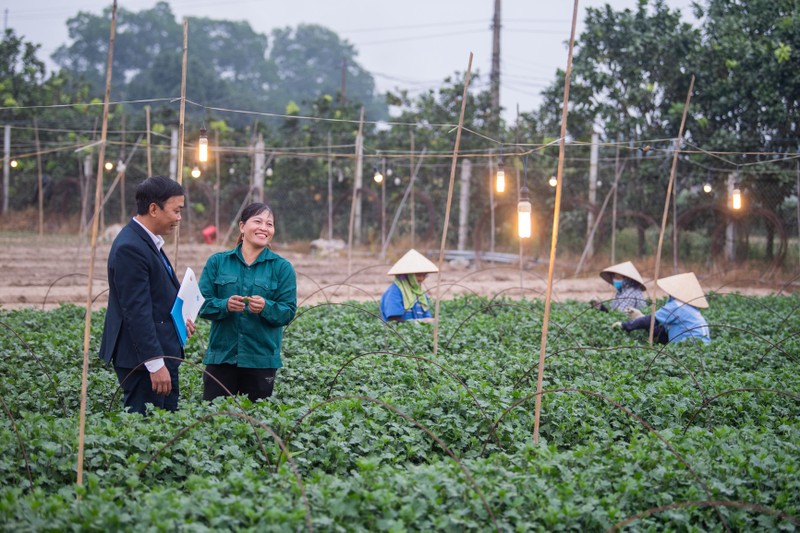 Cán bộ TYM - Chi nhánh Mê Linh đến thăm mô hình trồng hoa và cây giống của chị Nguyễn Thị Thập.