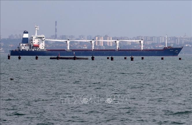 Chuyến tàu đầu tiên chở ngũ cốc của Ukraine rời cảng Odessa ngày 1/8/2022. (Ảnh: AFP/TTXVN)