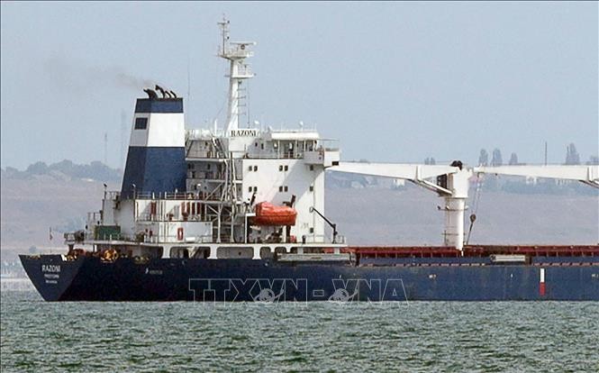 Chuyến tàu đầu tiên chở ngũ cốc của Ukraine rời cảng Odessa ngày 1/8/2022. (Ảnh minh họa: AFP/TTXVN)
