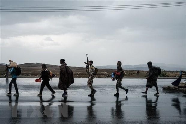 Các tay súng thuộc Lực lượng Mặt trận Giải phóng nhân dân Tigray (TPLF) ở Mekele thuộc khu vực Tigray, Ethiopia. (Ảnh: AFP/TTXVN)