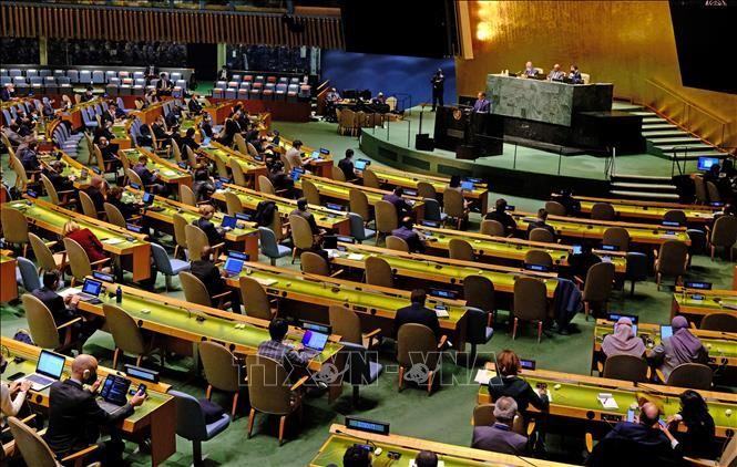 Toàn cảnh một phiên họp của Đại hội đồng Liên hợp quốc ở New York (Mỹ) ngày 1/3/2022. (Ảnh: AFP/TTXVN)