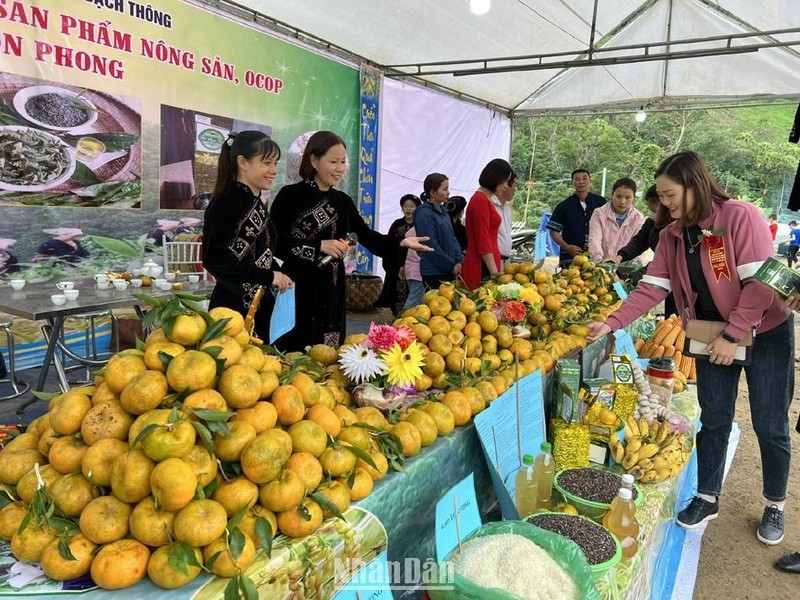 Gian hàng giới thiệu sản phẩm cam, quýt tới du khách. 