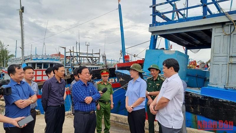 Bộ trưởng Nông nghiệp và Phát triển nông thôn Lê Minh Hoan cùng lãnh đạo tỉnh Quảng Ngãi kiểm tra khu vực neo đậu tàu thuyền Tịnh Hòa, thành phố Quảng Ngãi. 